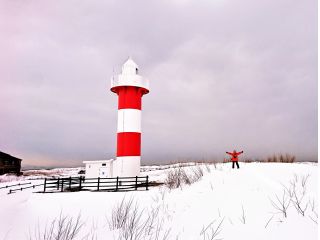 アミーケ・インターナショナル株式会社の写真1