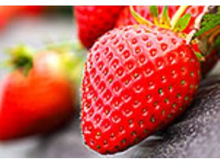 広口苺園の写真1