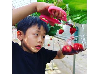 Mt.Berry 奥日光の写真1