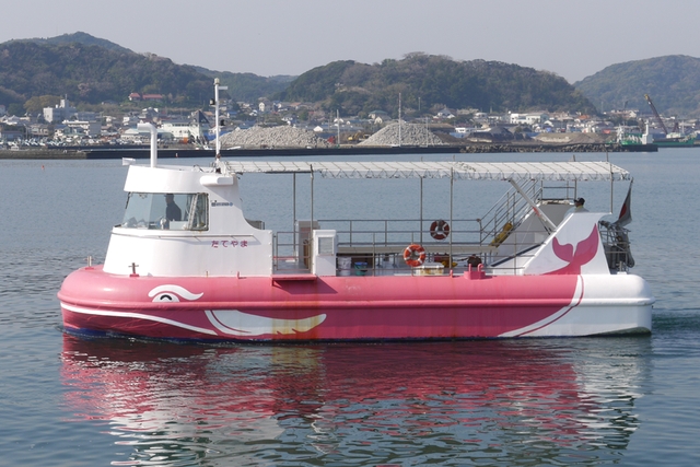 日東商船館山営業所 海中観光船の写真1