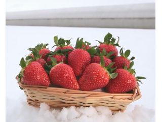 アグリフライト大曲の写真1