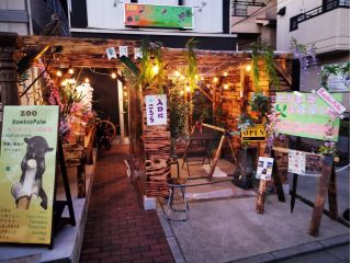 Bamboo Palmの写真1