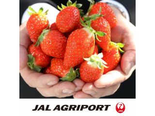STRAWBERRY PORT ICHIGONOMIの写真1