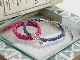 Apricot treeの写真1