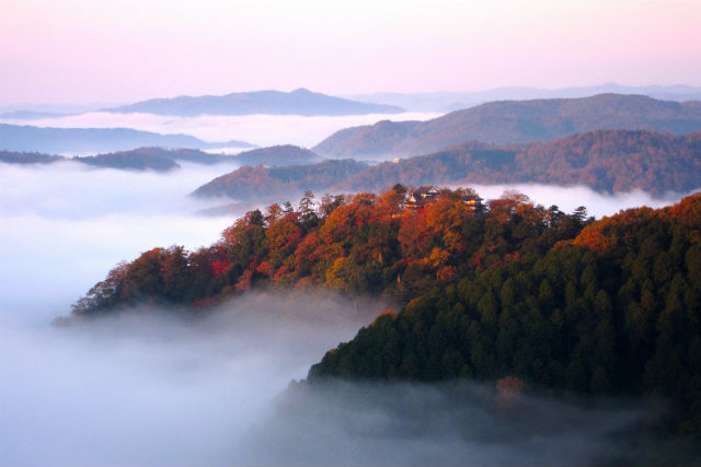 備北タクシー高梁営業所の写真1