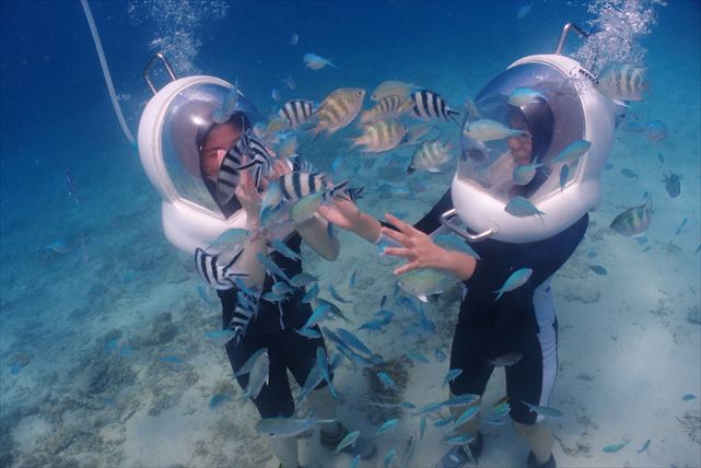 マリンクラブ ベリー(喜瀬店)の写真1