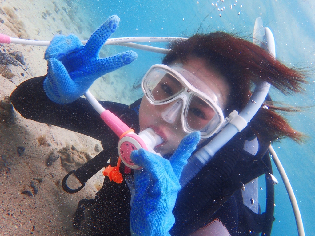 コズミックアースの写真1