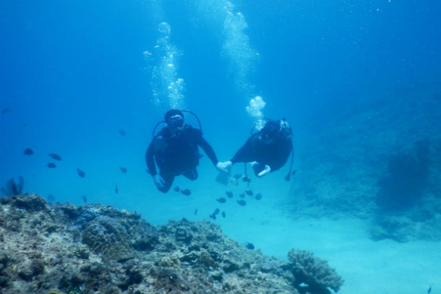 ギルドアワードの写真1