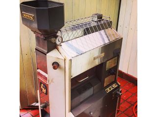 こはくの天使の写真1