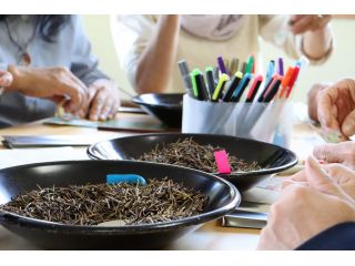 農事組合法人 霧山茶業組合の写真1