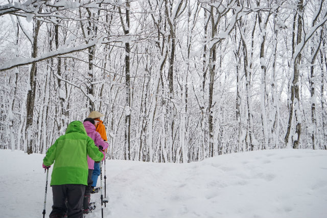 松之山温泉里山ビジターセンターの写真1