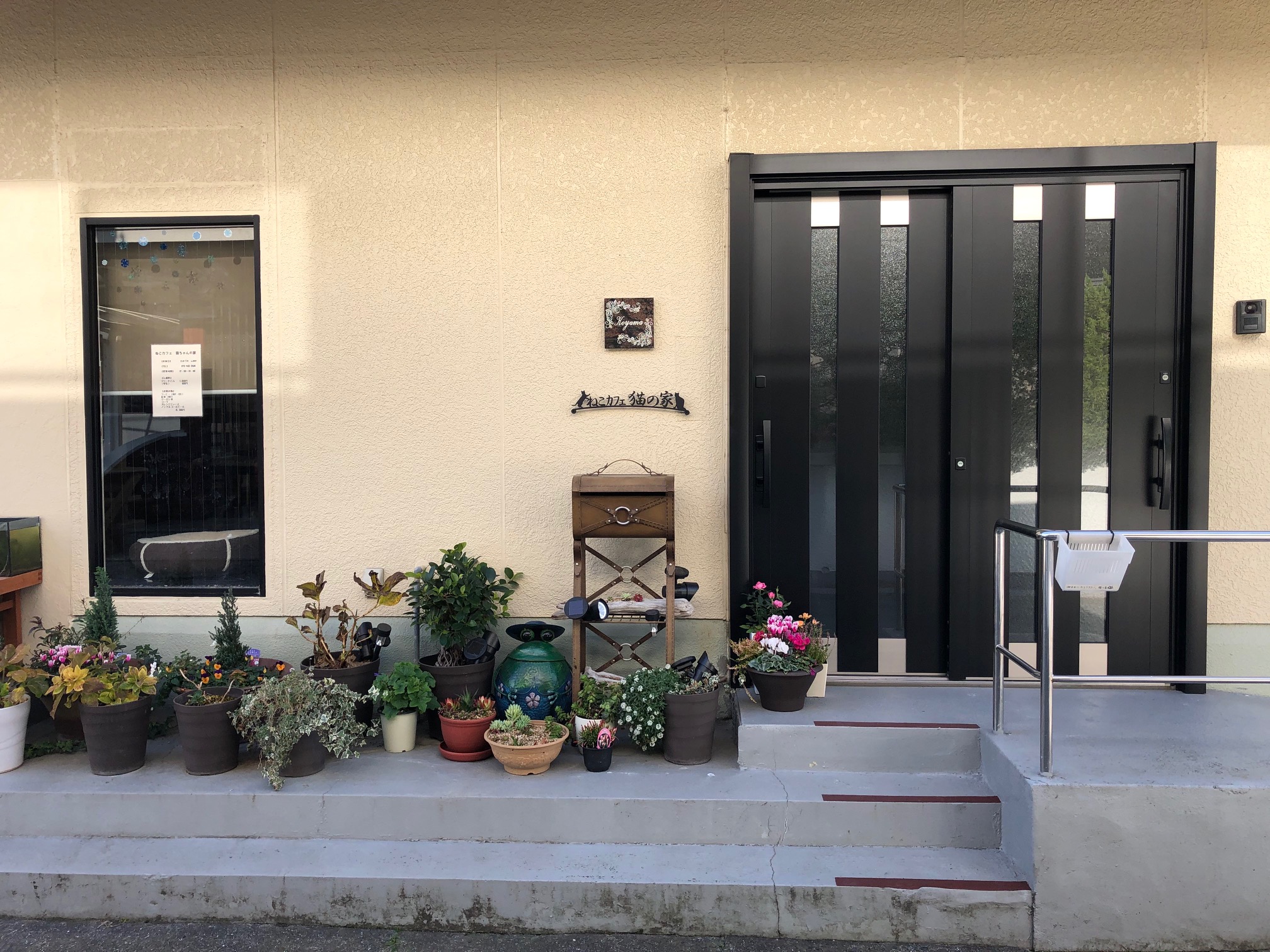 ねこカフェ猫ちゃんの家の写真1