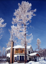 旅の宿 Mr.GNUの写真1