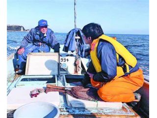 小松島漁業協同組合の写真1