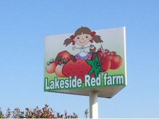 レイクサイドレッドファームの写真1