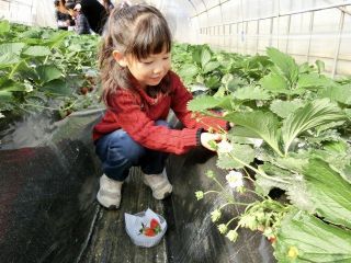 成田ファームランドの写真1