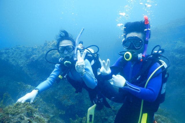南紀大島ダイブアイランドの写真1