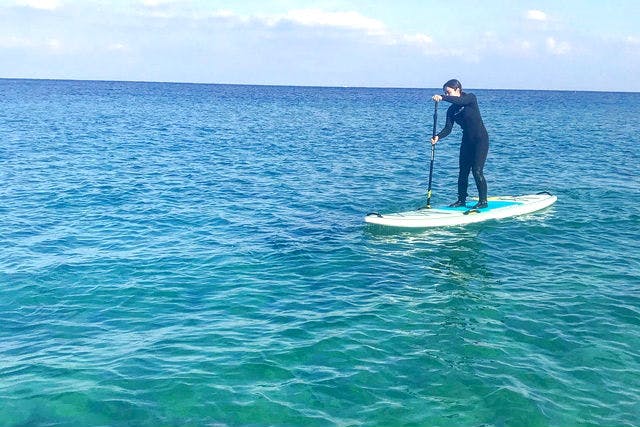 壱岐イルカパーク&リゾートの写真1