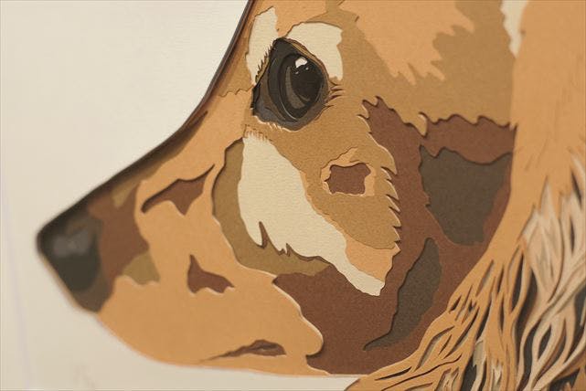 彫紙アートスクールの写真1