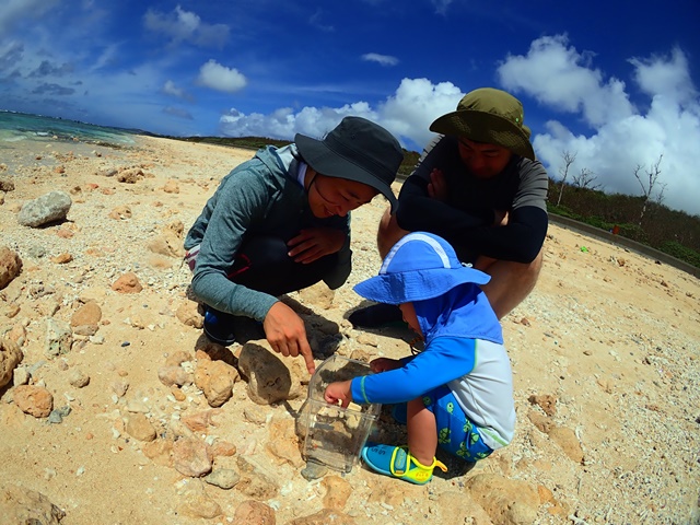 ネイチャースタイルの写真1