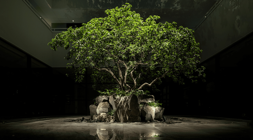 THE GENERAL KYOTOの写真1