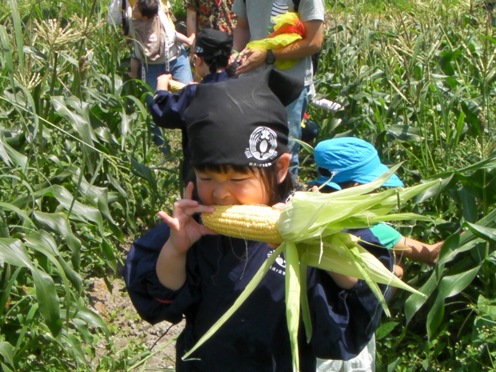 阿波ノ北方農園の写真1