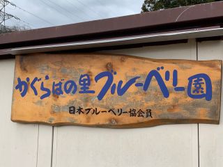 かぐらばの里ブルーベリー園の写真1