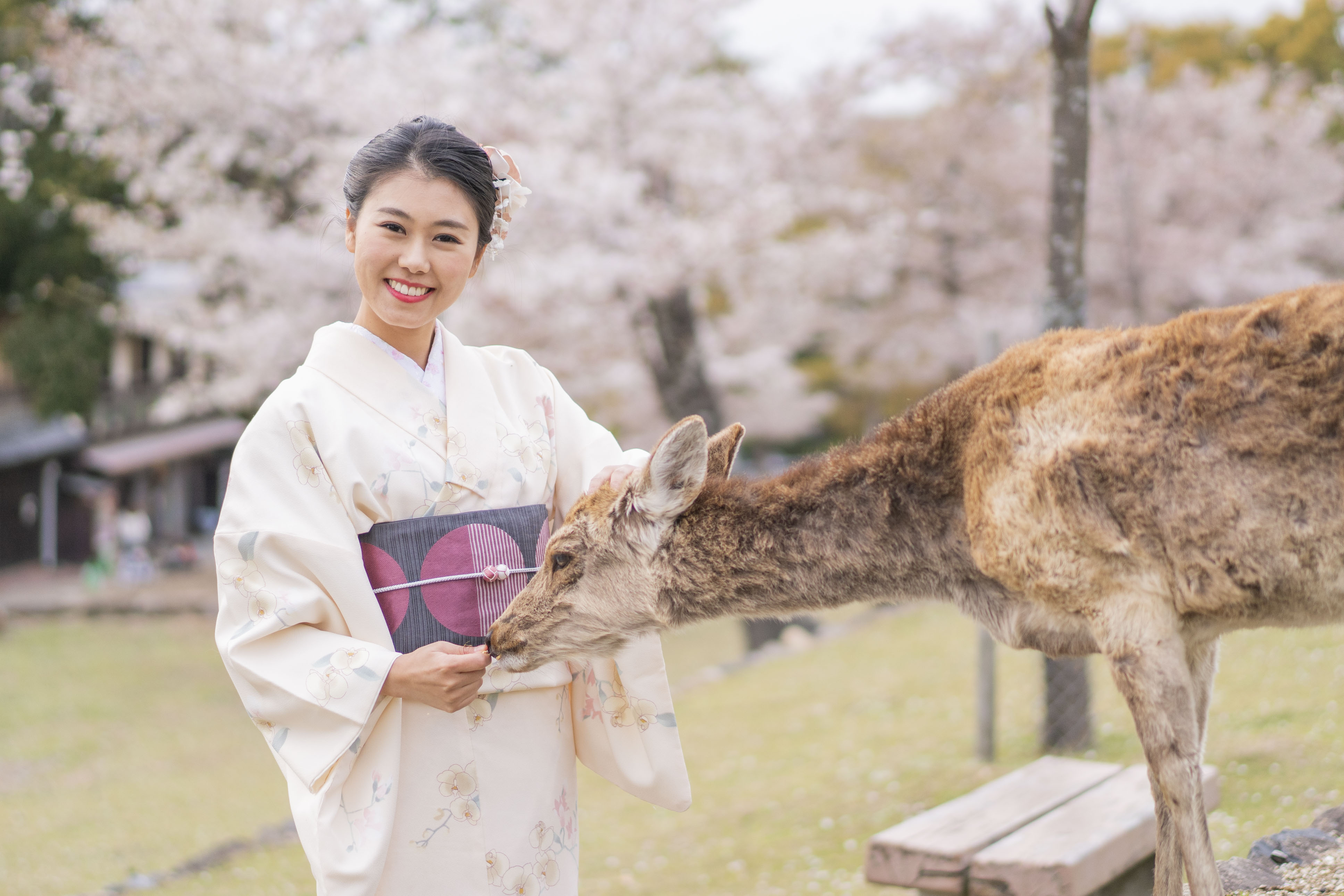 奈々屋の着物(奈良公園店)の写真1