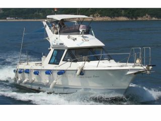 ユアクルーズの写真1