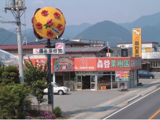 カネハチ森谷果樹園の写真1