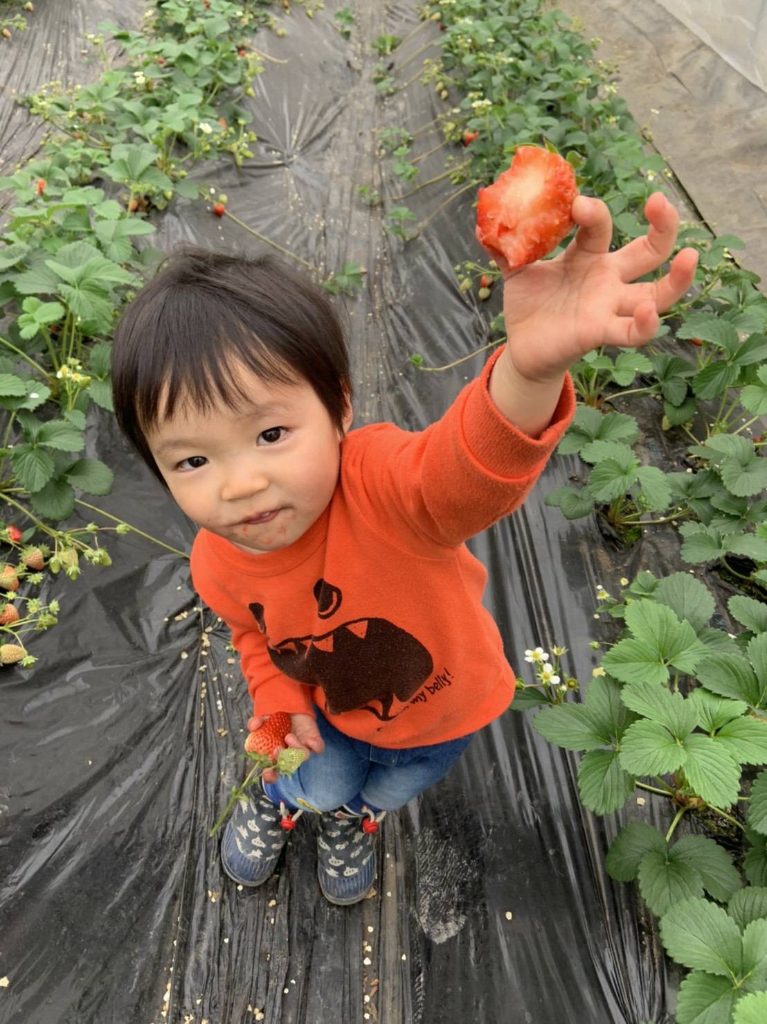 しらい農園の写真1