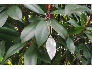 表現工房 日野教室の写真1