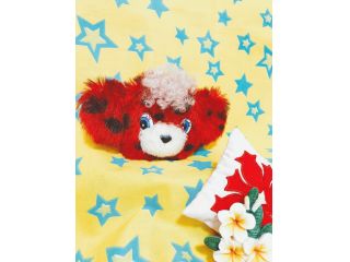 Hula hui o NaniMoe 狭山校の写真1