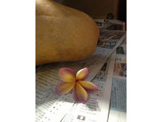 Hula hui o NaniMoe ふじみの校の写真1