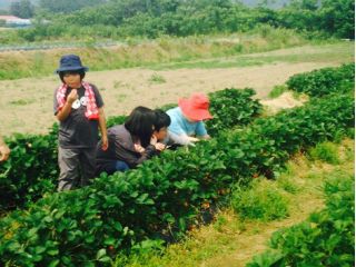 立野原観光農園の写真1