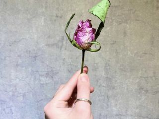 itoaware-いとあはれ-大阪店の写真1