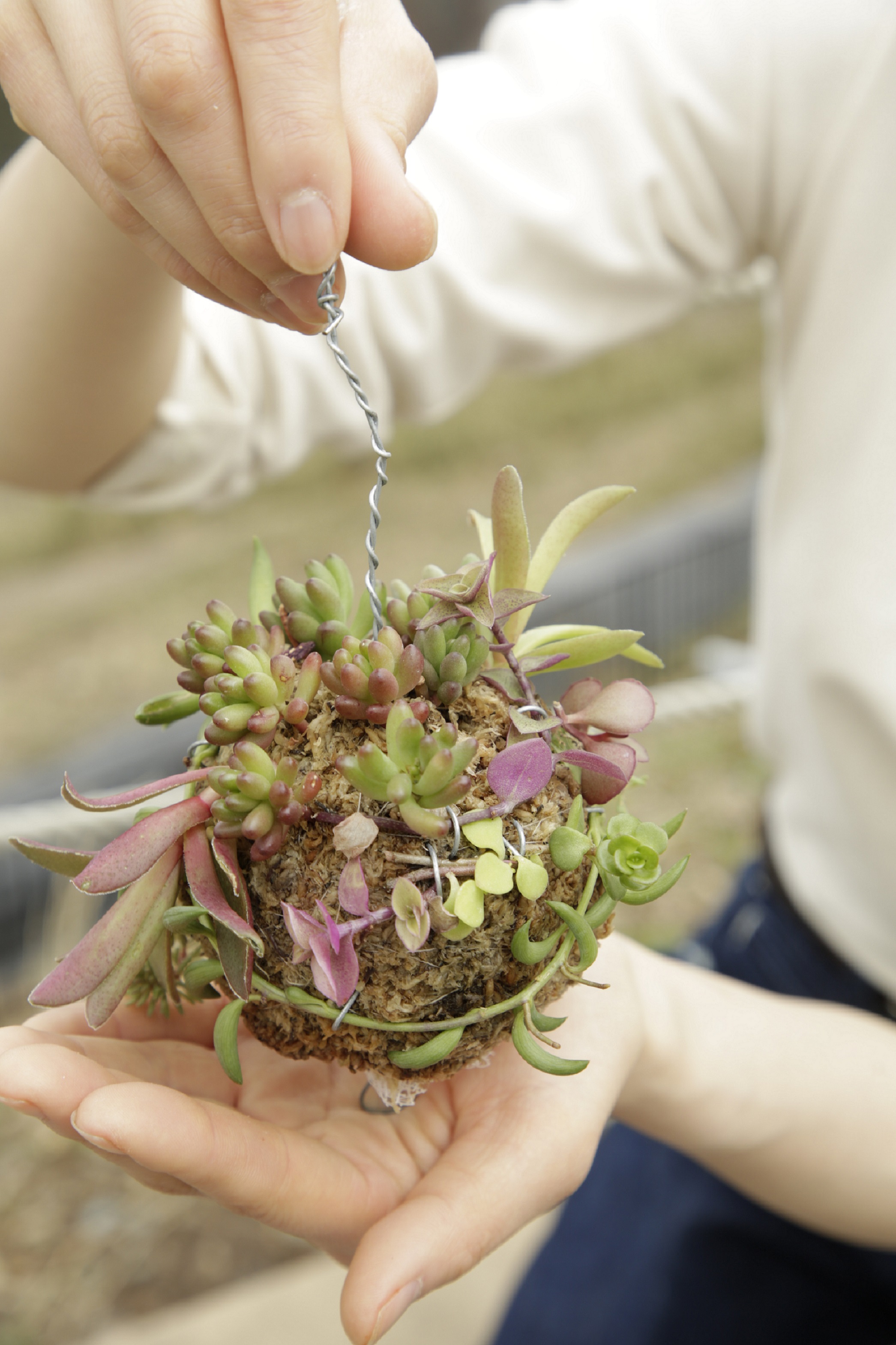 森の京都DMO福知山の写真1