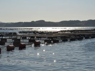 松浦党の里 ほんなもん体験の写真1