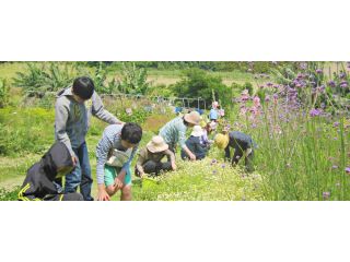 ハーブの里 みどり農園の写真1