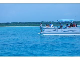 ヨーキーズ クルーズの写真1