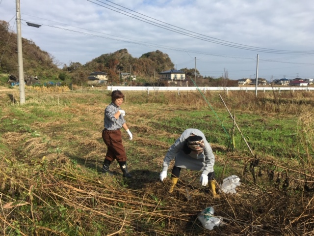 オアシス和田浦の写真1