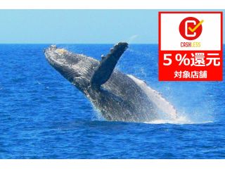 マリンクラブ ベリー(那覇店)の写真1