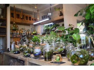 ファミリーガーデン陽春園の写真1