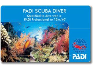 沖縄ダイビングスクールワールドダイビングの写真1