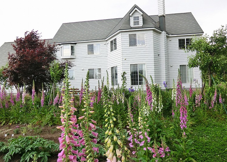 ゲストハウス 伊東の写真1