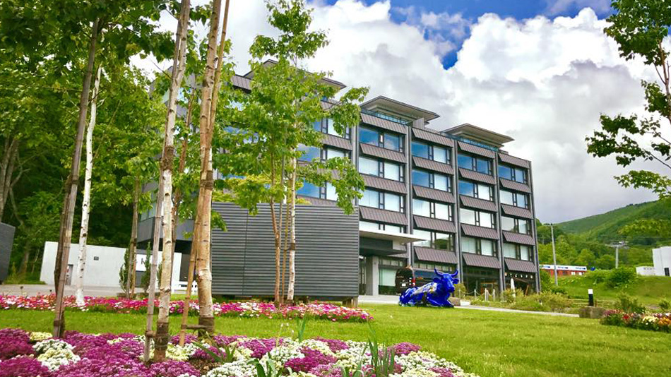 木ニセコの写真1