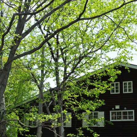 ニセコ塒の写真1