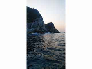 安岡渡船の写真1