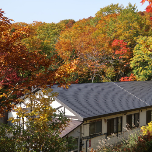 谷地温泉の写真1
