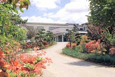 ホテル金田一の写真1